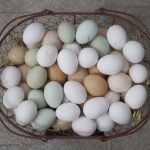 How To Make Fluffy Scrambled Eggs