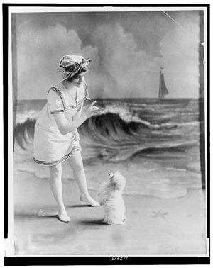 Young woman in bathing suit with small dog in ...