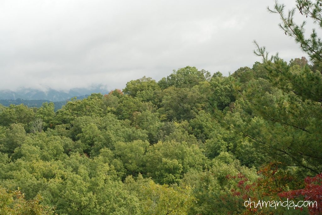 mountains