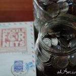 Monthly Mission Celebration {Nickels for Nets}