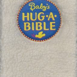 Teach Your Kids To Love the Bible // part of a #31days Best Bible Books for Kids series by ohAmanda.com