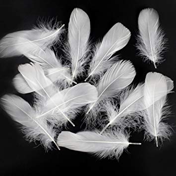 white feathers