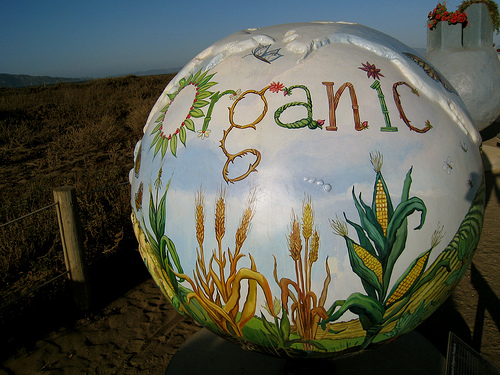 "Organic-Sustainable Farmed Products" by Vicky Tesmer (Cool Globes)