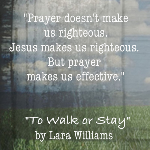 to walk or stay by lara williams