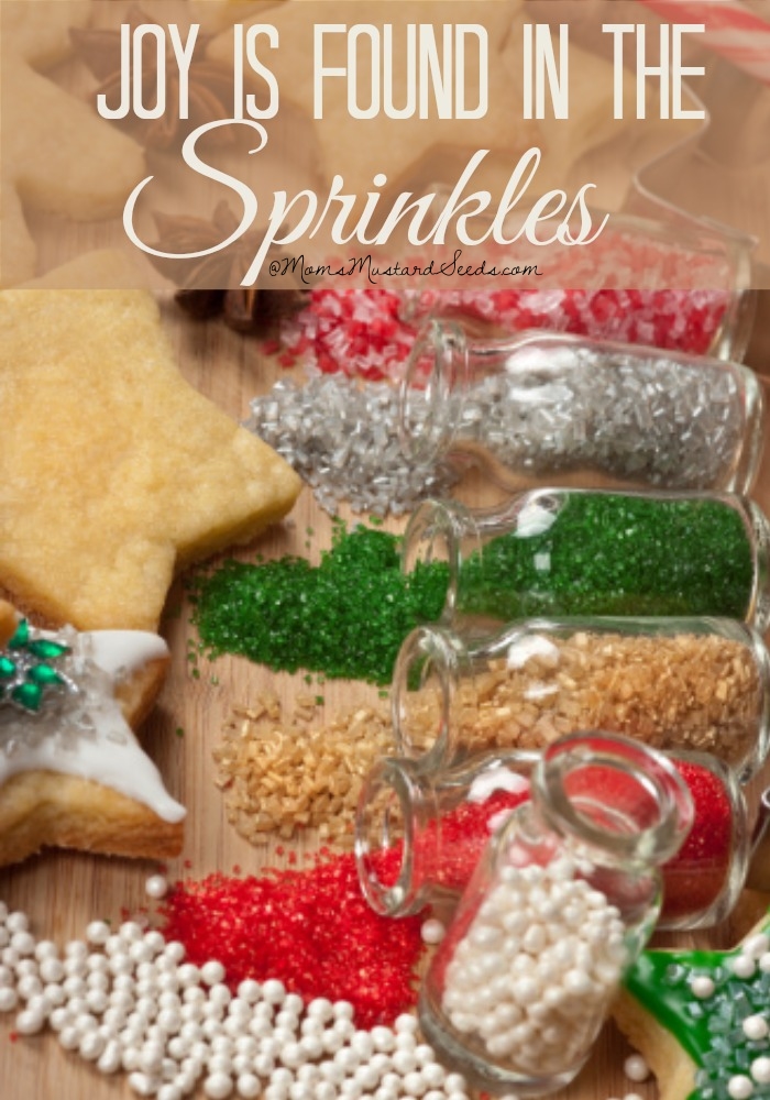 Joy is found in the sprinkles // Christmas wisdom from Rebecca at MomsMustardSeeds.com